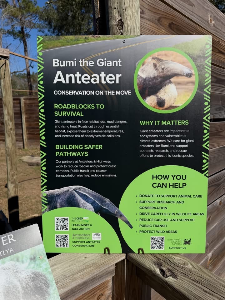 Giant anteater conservation education sign