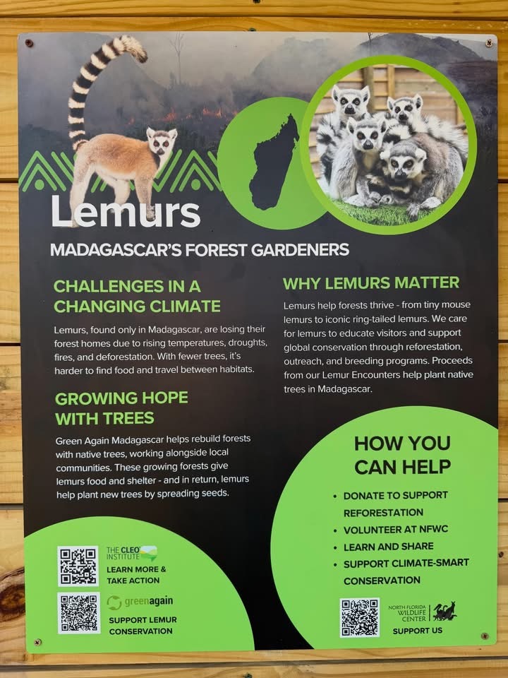 Lemur conservation education sign at North Florida Wildlife Center