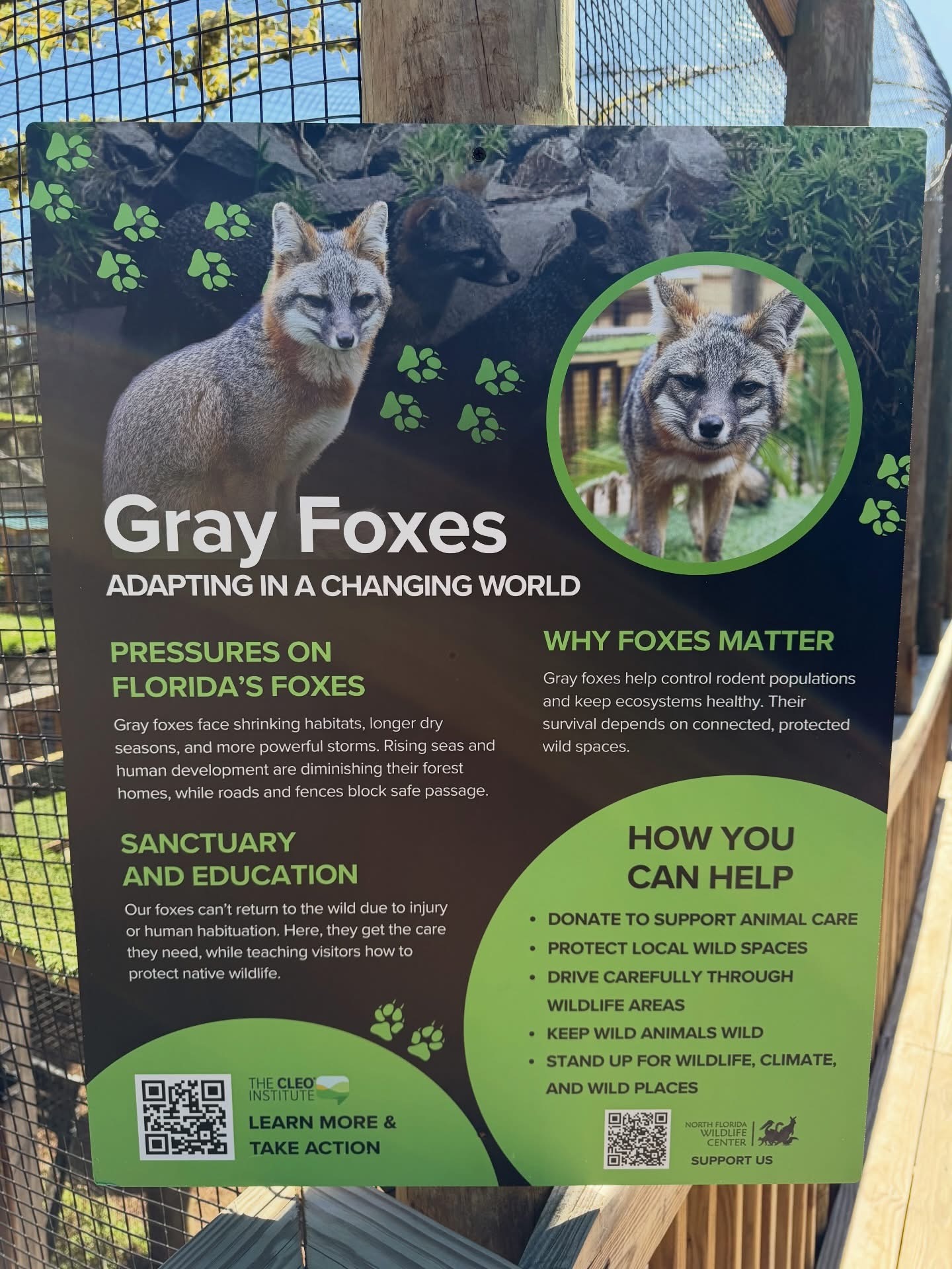 Gray fox conservation education sign