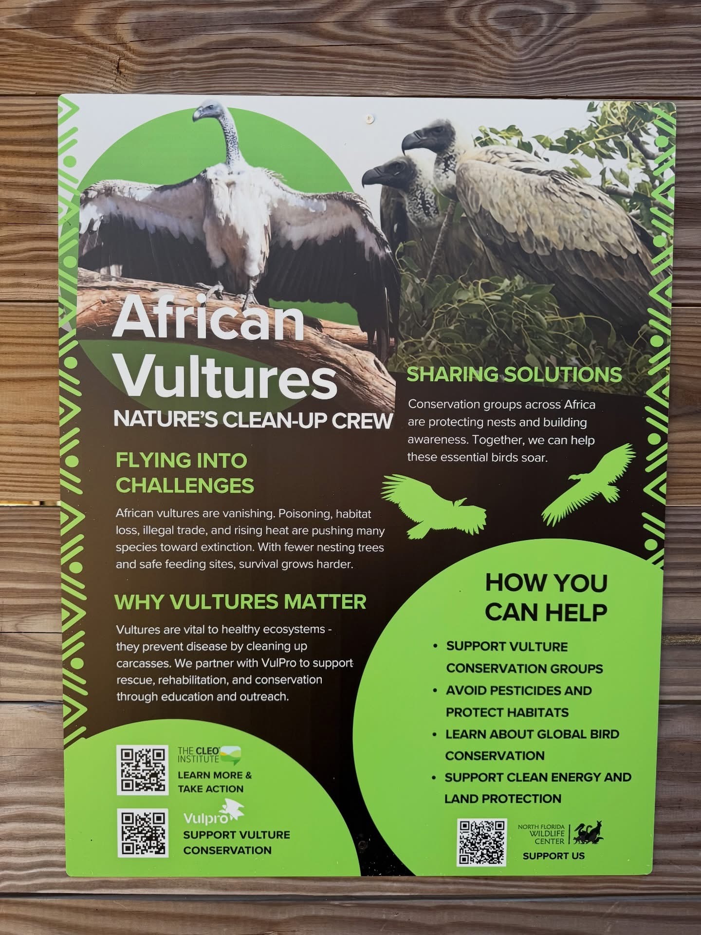 African vulture conservation education sign